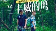 疯狂的聚会